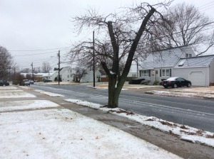 The massive pre-Thanksgiving snow storm!!