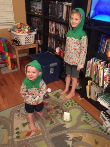 I made the boys some hoodies. Little did I know I would need for them to use them this week! Brr!!