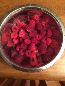 Free Raspberries (grown on our bush).