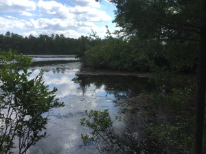 a view from our campground