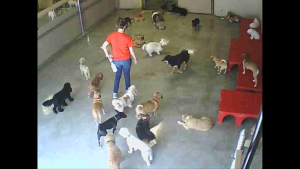 Fenway at his camp. He is the one in the middle next to the lady. 