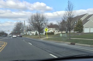 The black lines in this photo are from the brine trucks spraying the roads. Once the brine dries, it turns white making white lines on the road. 