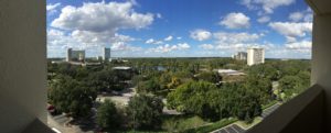 The view from our hotel in Disney area (Holiday Inn). 