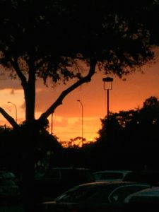 Sunset in Orlando